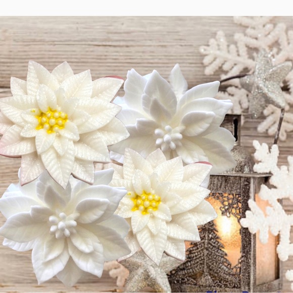 Set 6, Christmas Poinsettia Flower, Artisian Holiday, Baby Shower, Bathroom - Picture 13 of 13
